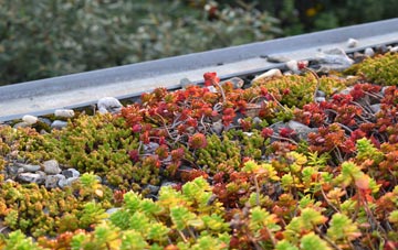 the cost of East Prawle green roof installation