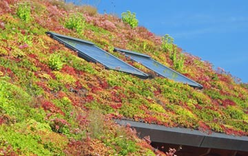 East Prawle living roof systems