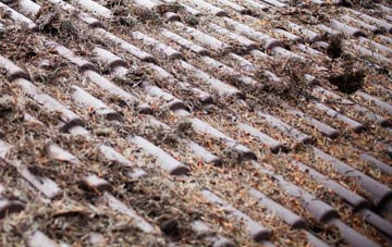 East Prawle roof cleaning companies