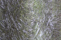 East Prawle fibreglass roof work